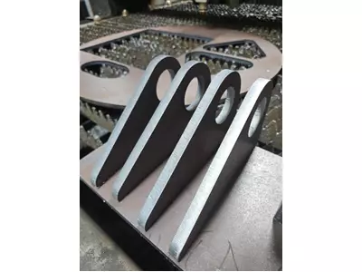 Media - 2026-02-19T094646.664.jpg